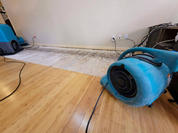 Professional Sewage Cleanup technician working in Bellevue, WI